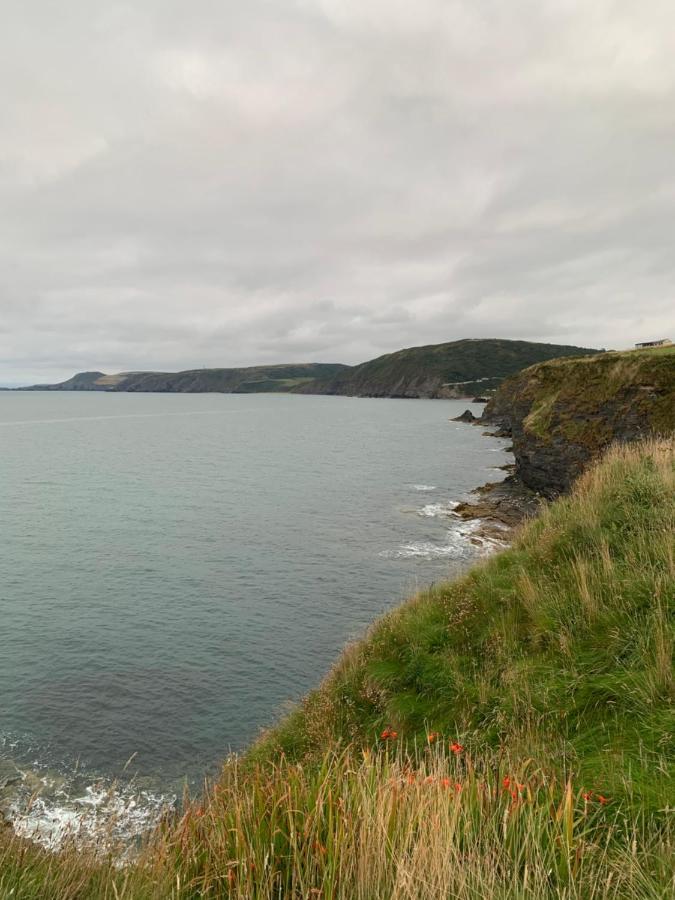 Wild Coastal Retreat At Troed Y Rhiw Aberporth, West Wales Villa Exterior foto