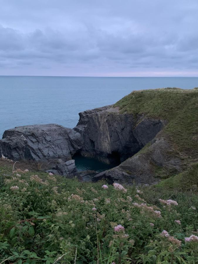 Wild Coastal Retreat At Troed Y Rhiw Aberporth, West Wales Villa Exterior foto