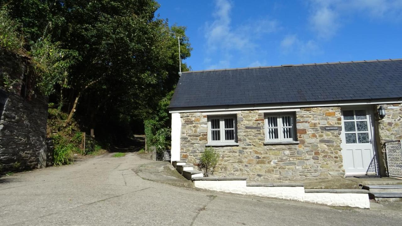 Wild Coastal Retreat At Troed Y Rhiw Aberporth, West Wales Villa Exterior foto
